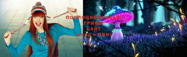 МДПВ Абдулино