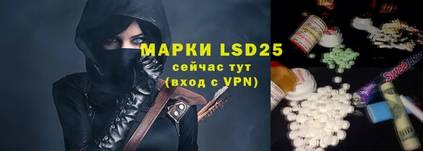 PSILOCYBIN Нязепетровск