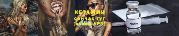 apvp Дмитриев