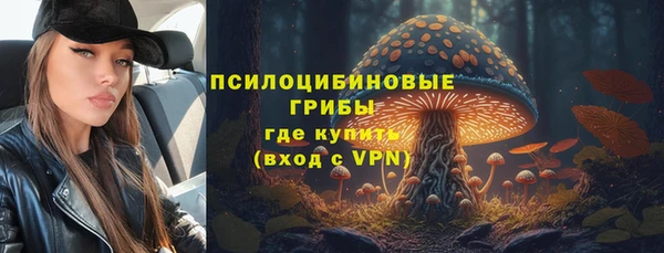 МДПВ Абдулино