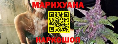 сатива Камышлов
