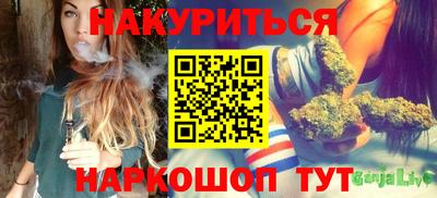 сатива Камышлов
